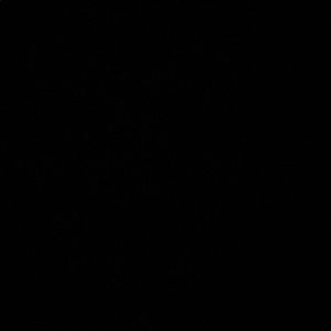 Meet your Posher, Bridger